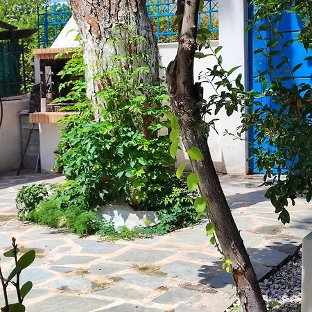 A Cozy Whole House Near The Airport And The