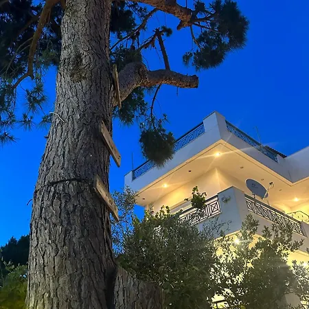 A Cozy Whole House Near The Airport And The
